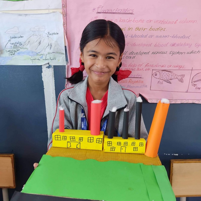 Grade 5 Project